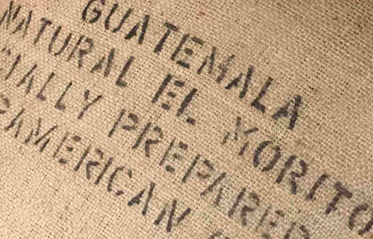 Neuzugang aus Zentralamerika