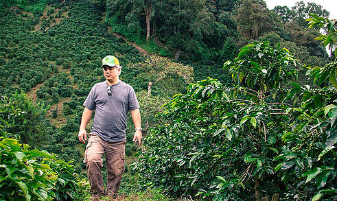 Kaffee aus Panama: eine Erfolgsgeschichte